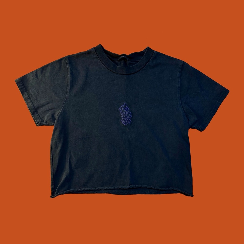 Brandy Melville Dragon Tee, Cropped, Black
